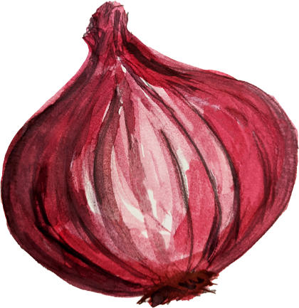 Onion Illustration